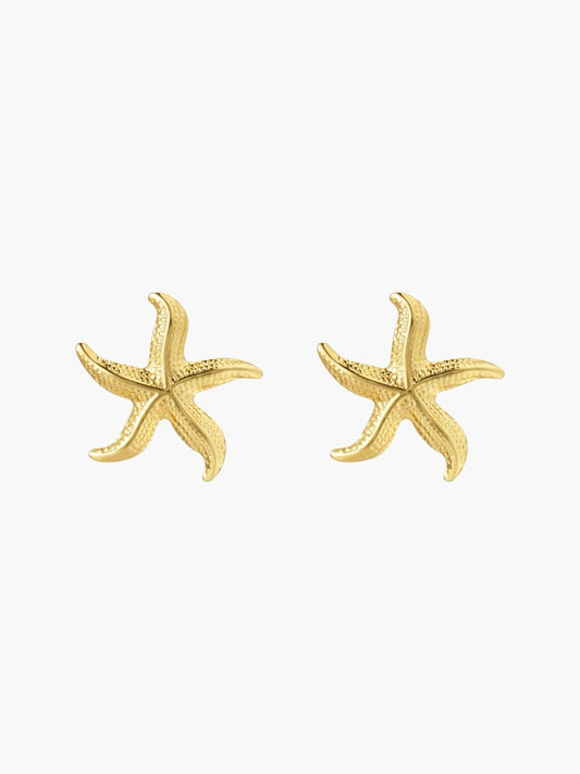 Brinco Dourado Estrela